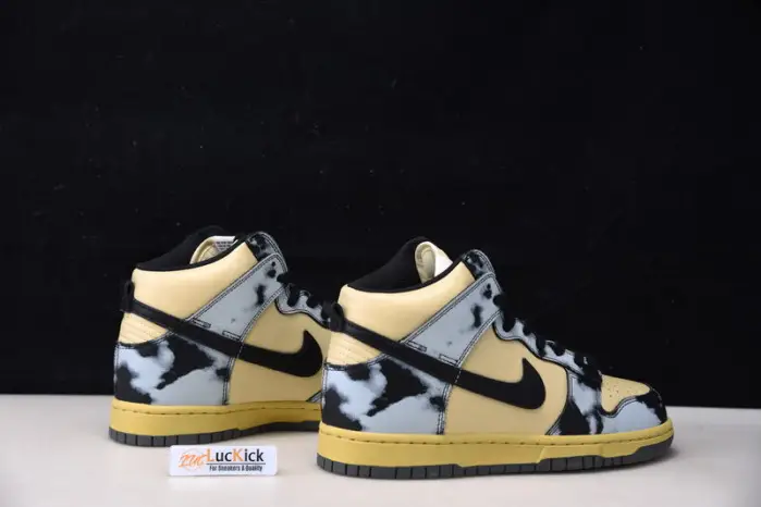 Dunk High 