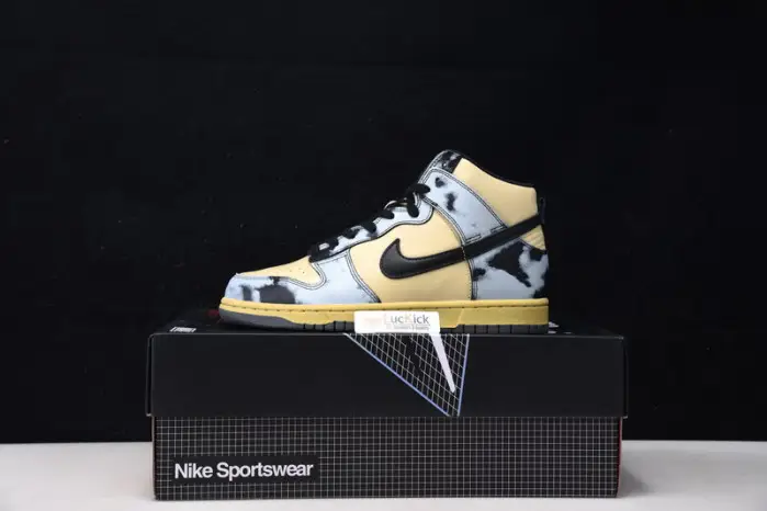 Dunk High 