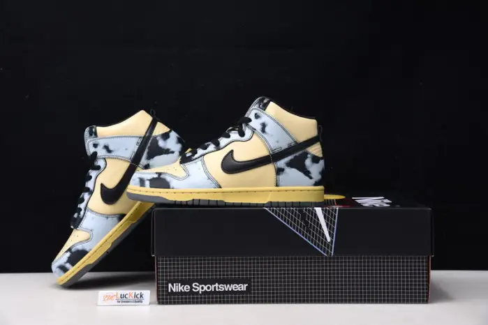Dunk High 