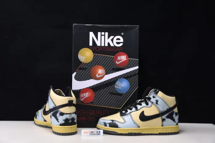Dunk High 