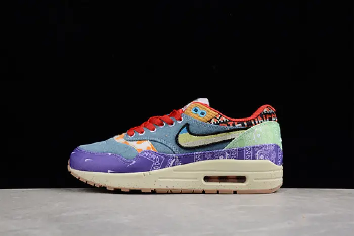 Concepts x Nike Air Max 1 