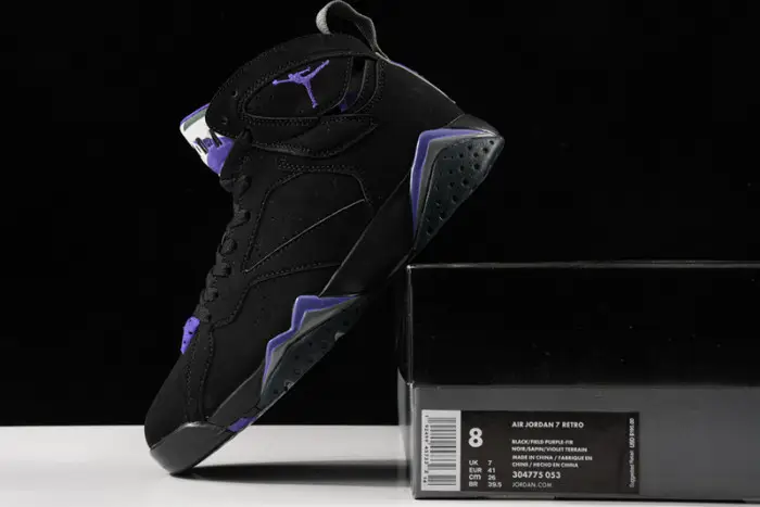 Air Jordan 7“Ray Allen 