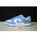 Nike Dunk Low Coast (W) 
