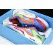 Air Jordan 5 Low Doernbecher 