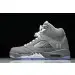 Air Jordan 5 'Wolf Grey' 