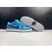 Nike SB Dunk Low Pro Blue Fury 