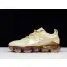 Nike Air VaporMax 2019 Cream Light Bone (W)  EDEEB1760
