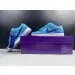 Nike SB Dunk Low Pro Blue Fury 