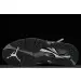 Air Jordan 8 Retro 