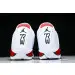 Air Jordan 14 