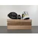 Pharrell x adidas Adistar Jellyfish 