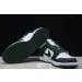 Nike Dunk Low Michigan State 