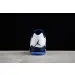 Air Jordan 5 Low 