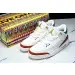 Air Jordan 3 Mexico "El Vuelo" 