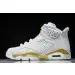 Air Jordan 6  “Paris“ 
