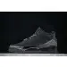 Air Jordan 3 WMNS Black Cat 