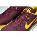 Nike Kobe 8 Protro 
