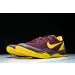Nike Kobe 8 Protro 
