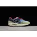 Nike Air Max 1 SP Concepts Mellow 