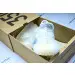 Yeezy Boost 350 V2 Cloud White (Reflective) 