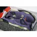 Air Jordan 4 WMNS “Canyon Purple” 