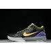 Nike Kobe 4 Protro Carpe Diem 