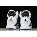 Air Jordan 6 Sport 
