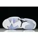 Air Jordan 6 Sport 