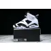 Air Jordan 6 Sport 