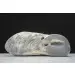 Yeezy Foam RNNR MX Cream Clay  GV 
